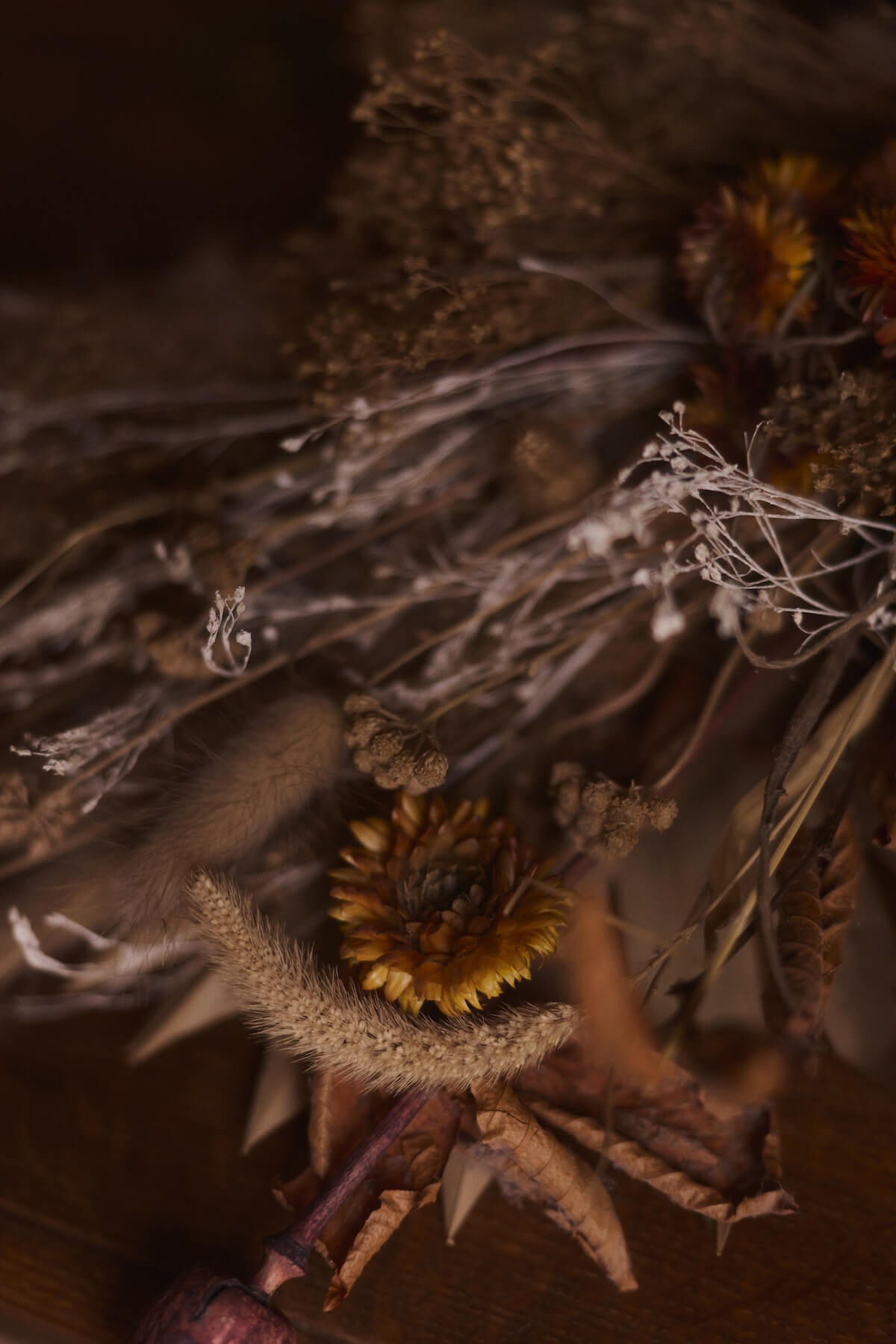 A moody lit image of dried flowers
